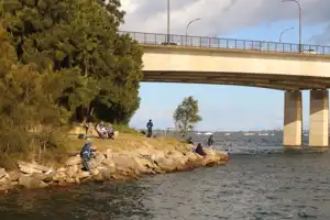 2025-07-21 Cpt. Cook Brdg. Walk - IMG_3881_compressed_q80.webp